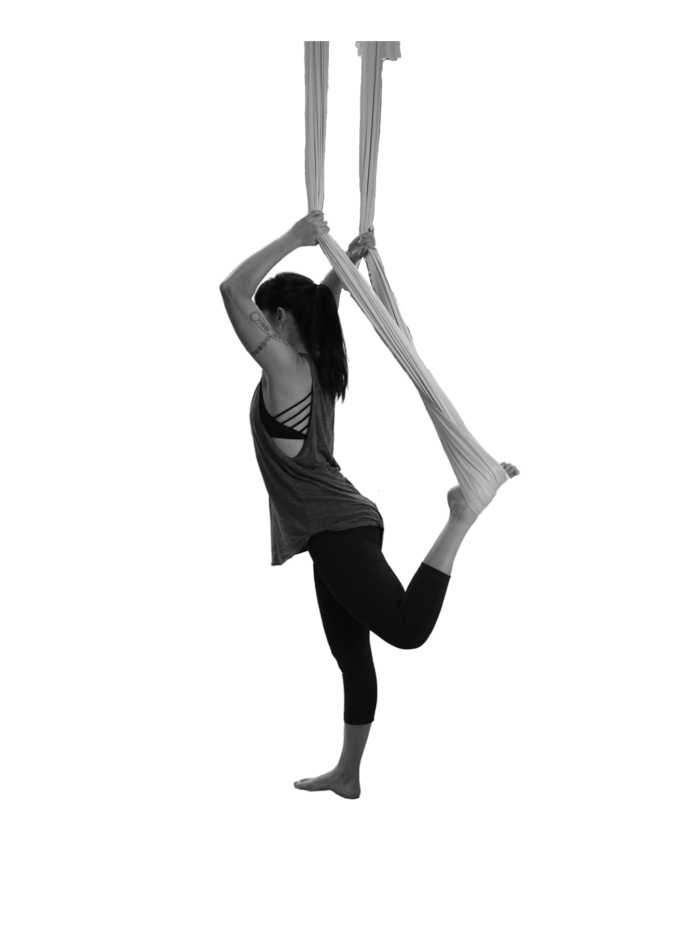 Adult Class Types — Momentum Aerial