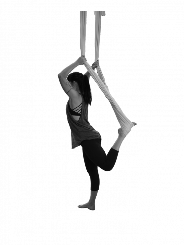 Aerial Aerial