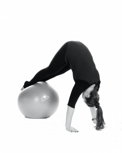 Functional Fitness Functional Fitness